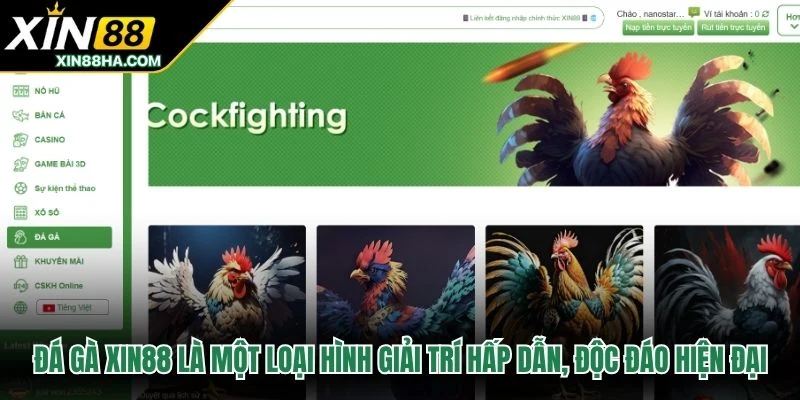 Đá gà XIN88 là một loại hình giải trí hấp dẫn, độc đáo hiện đại