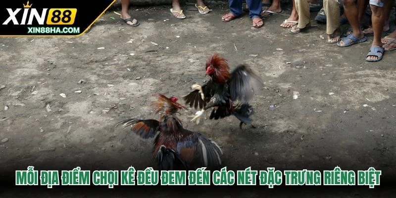 Mỗi địa điểm chọi kê đều đem đến các nét đặc trưng riêng biệt