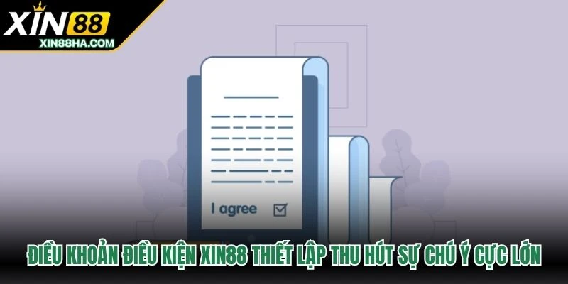 Điều khoản điều kiện XIN88 thiết lập thu hút sự chú ý cực lớn